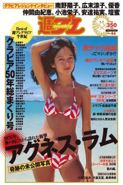 大宅院的女人电视剧全集